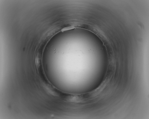 X0000115500074200911061336