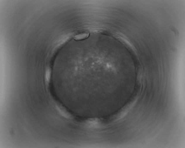 X0000115500076200911061336