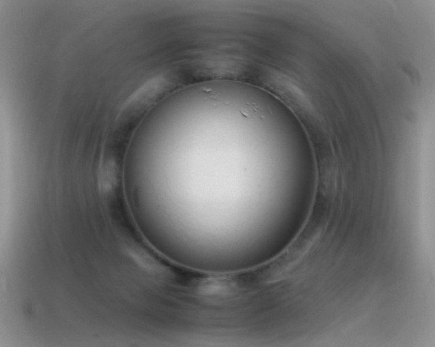 X0000115500077200911061336