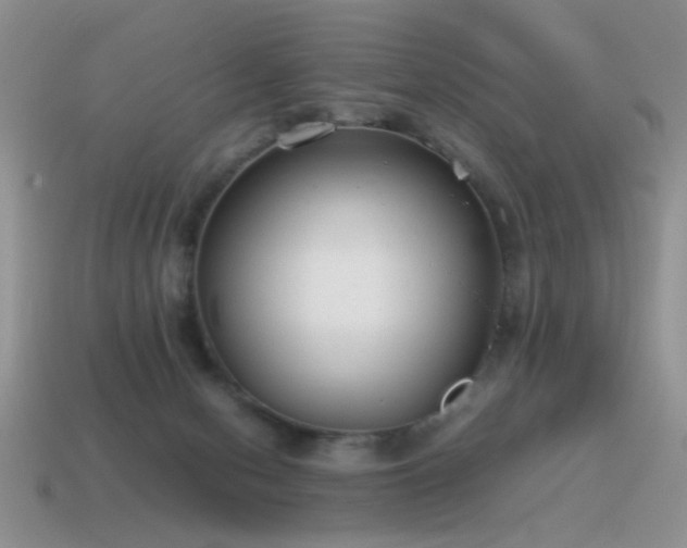 X0000115500078200911061336