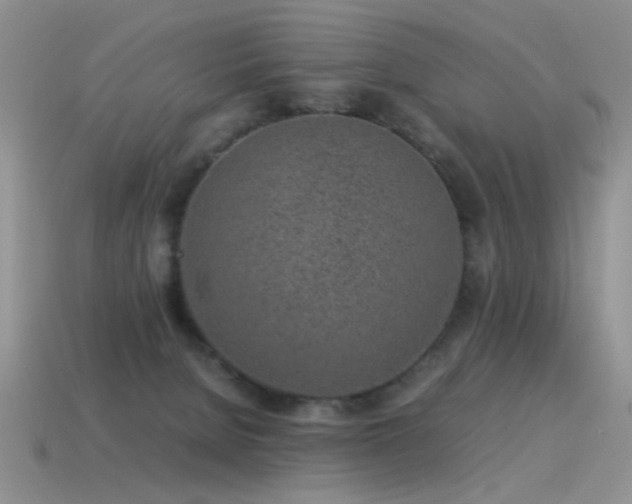 X0000115500080200911061336