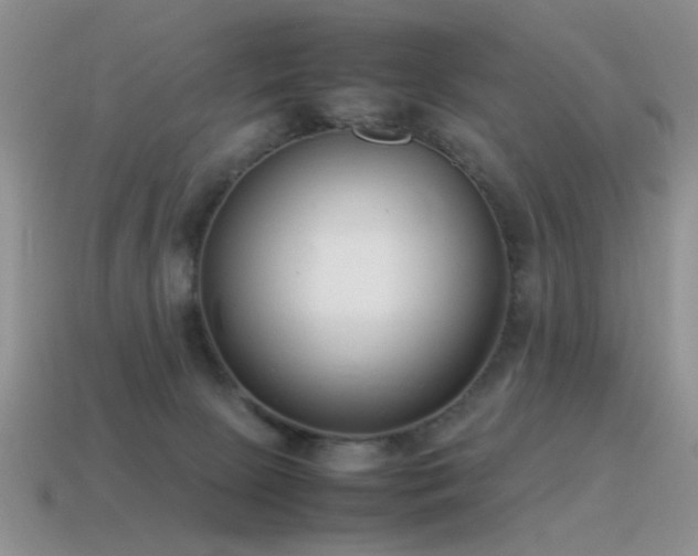 X0000115500081200911061336
