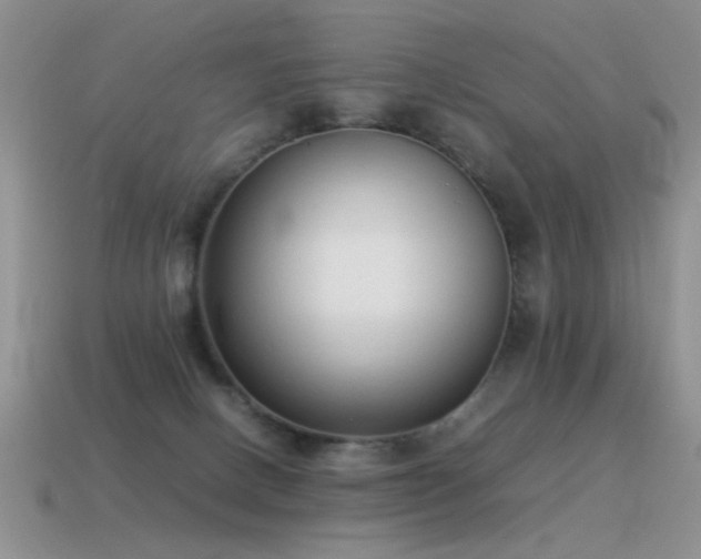 X0000115500082200911061336