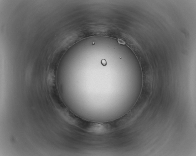 X0000115500083200911061336