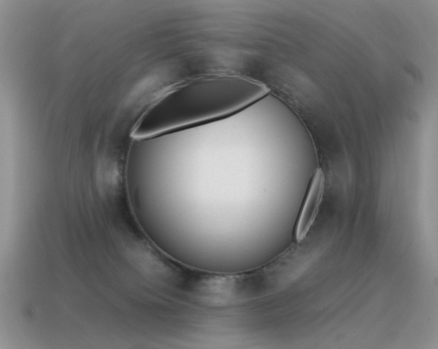 X0000115500084200911061336