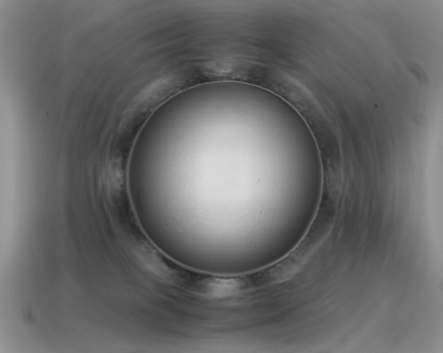 X0000115500085200911061336