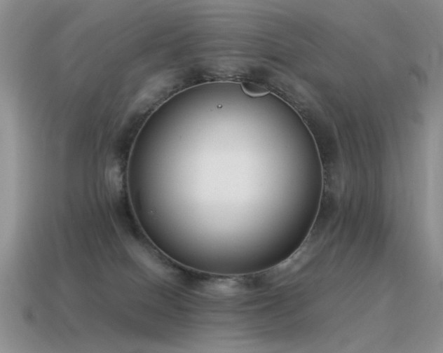 X0000115500086200911061336