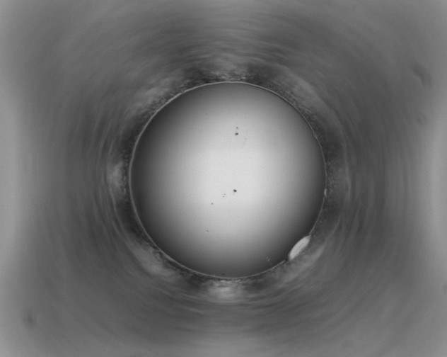 X0000115500088200911061336