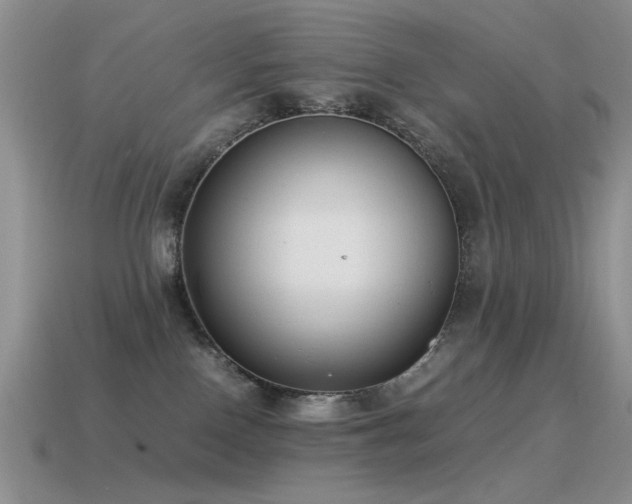 X0000115500090200911061336