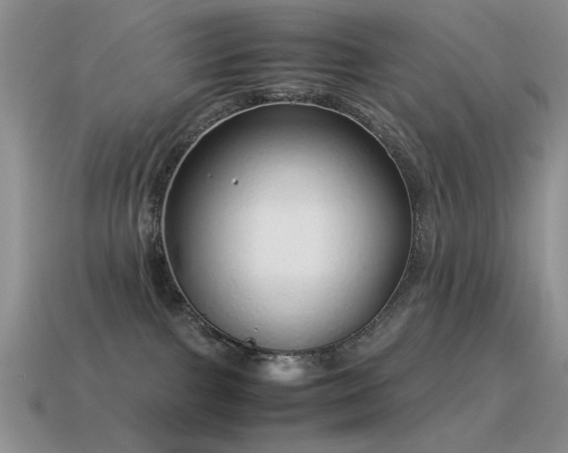 X0000115500091200911061336