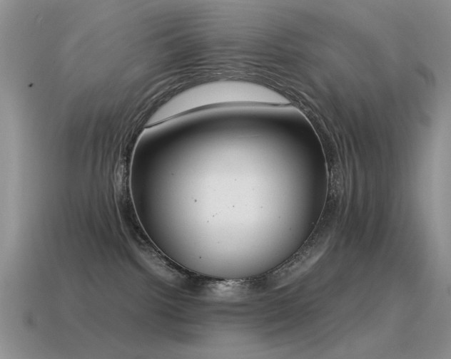 X0000115500092200911061336