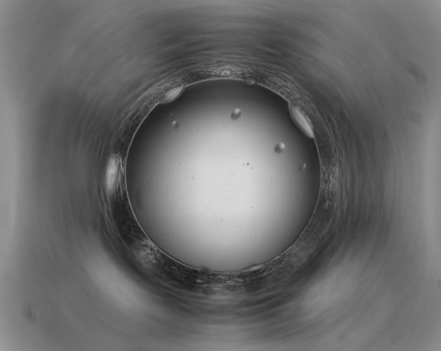X0000115500095200911061336