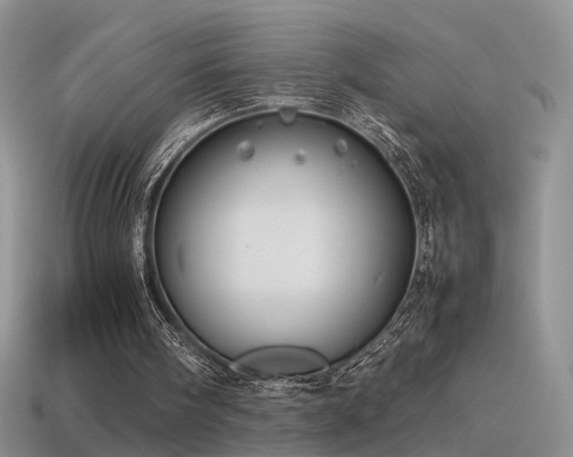 X0000115500098200911061335