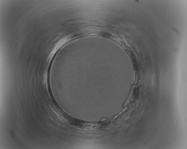 X0000115500099200911061335