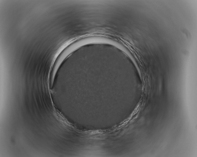 X0000115500100200911061335