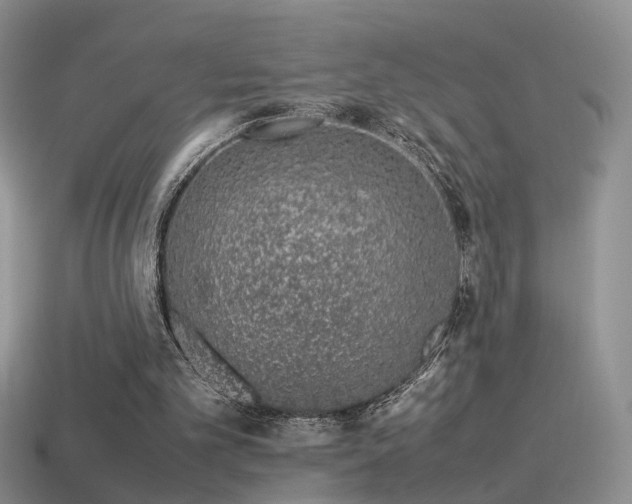 X0000115500101200911061335