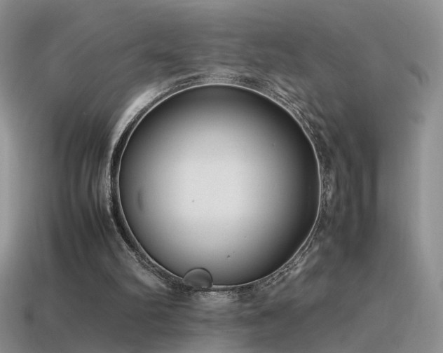 X0000115500102200911061335