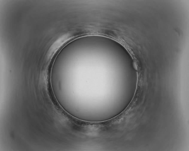 X0000115500103200911061335