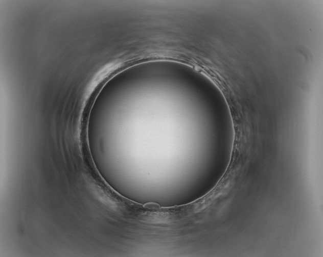 X0000115500104200911061335