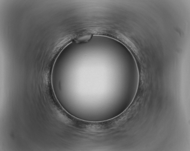 X0000115500105200911061335