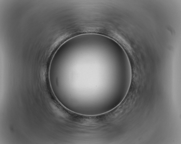 X0000115500107200911061335