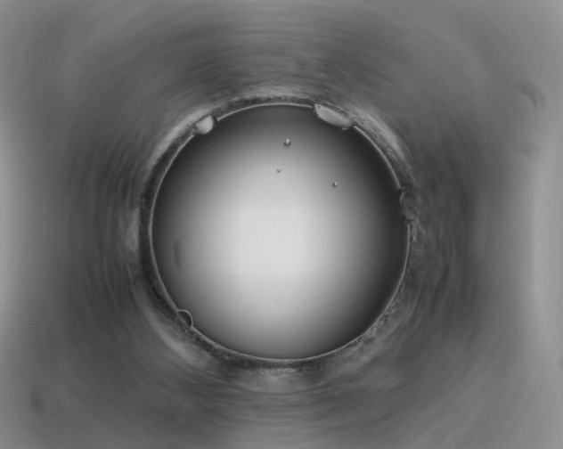 X0000115500108200911061335