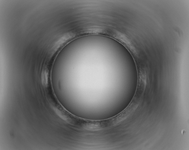 X0000115500110200911061335