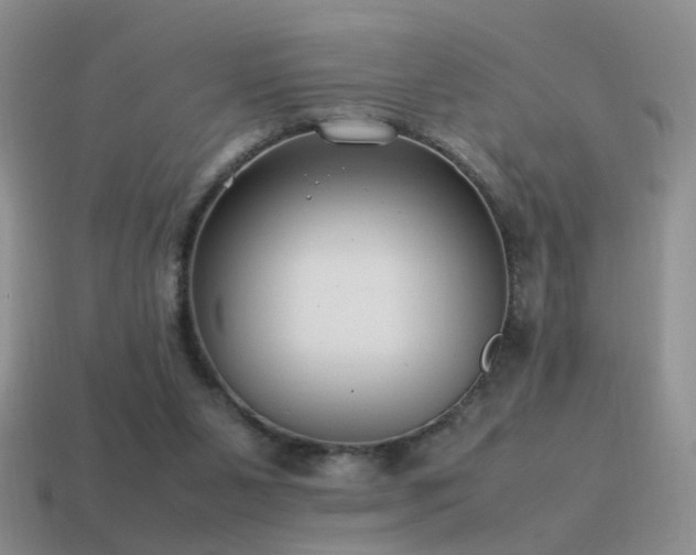 X0000115500111200911061335