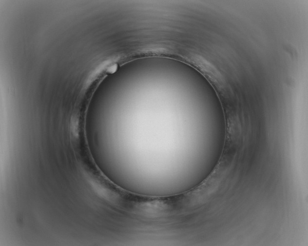 X0000115500112200911061335