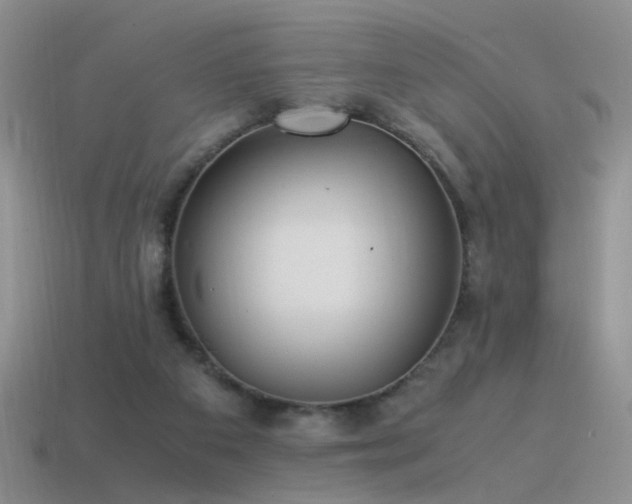X0000115500113200911061335