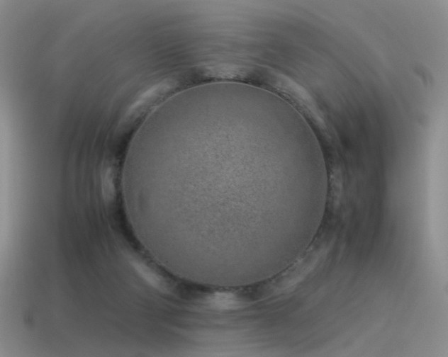 X0000115500114200911061335