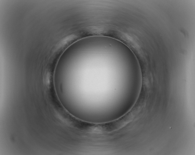 X0000115500115200911061335