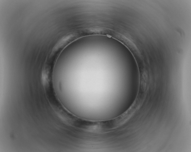 X0000115500116200911061335