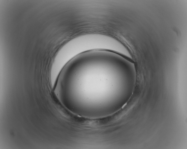 X0000115500117200911061335