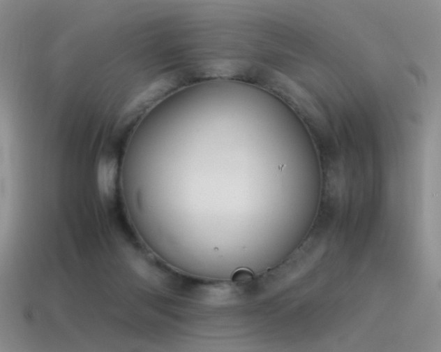 X0000115500118200911061335