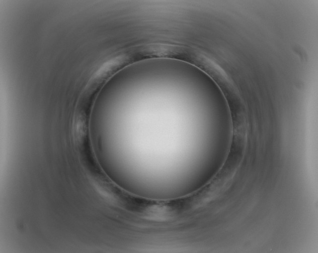 X0000115500119200911061335