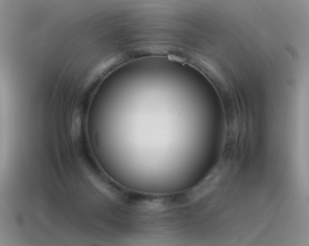 X0000115500120200911061335