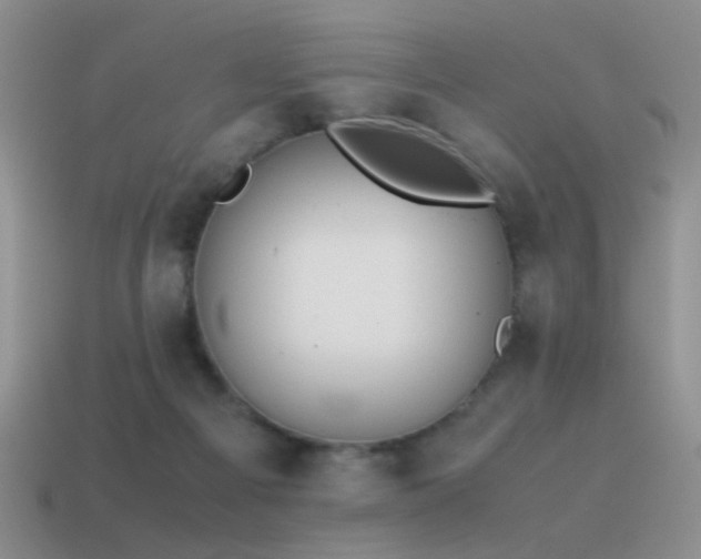 X0000115500121200911061335