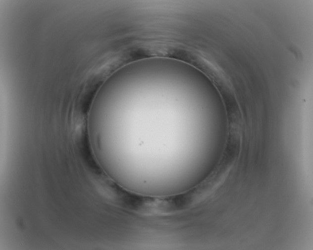 X0000115500125200911061335