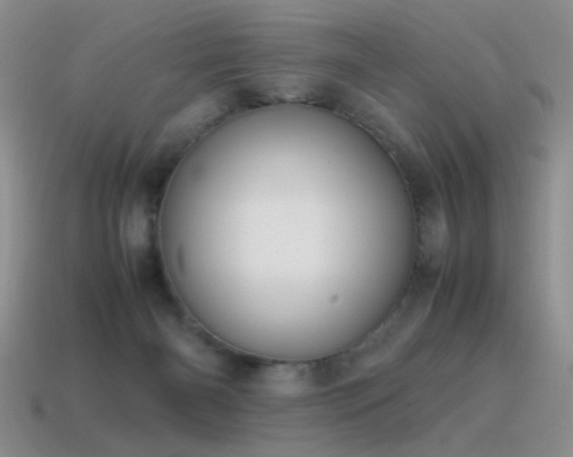 X0000115500126200911061335