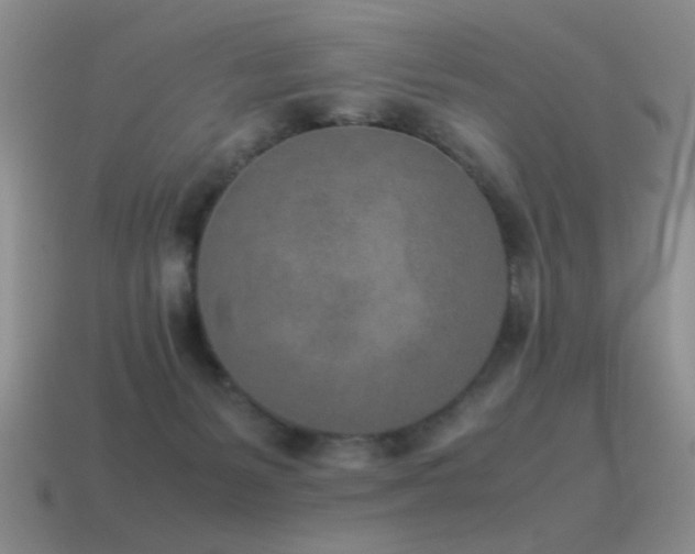 X0000115500127200911061335