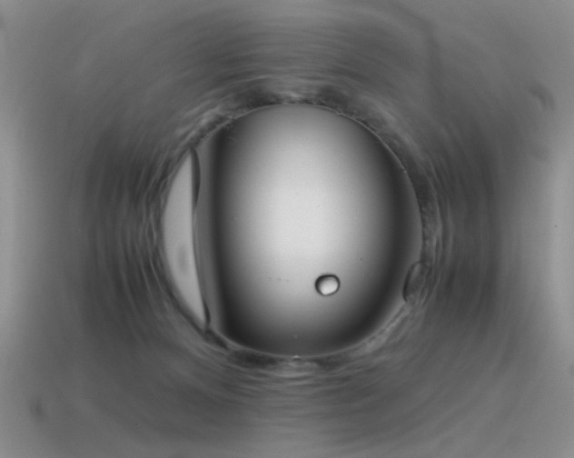 X0000115500128200911061335