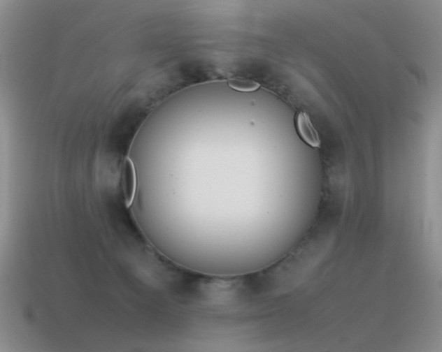 X0000115500129200911061335