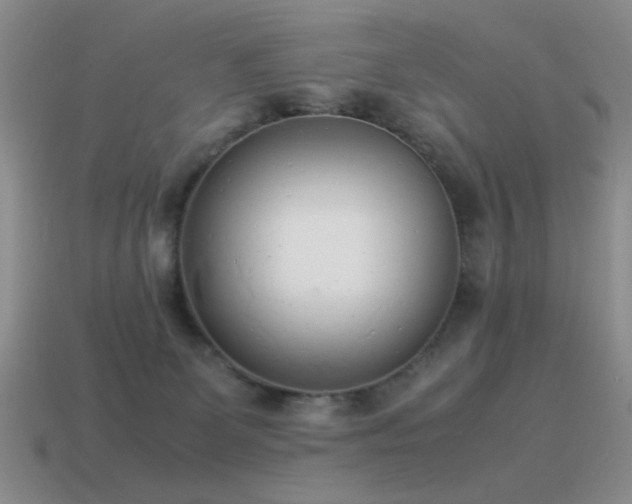 X0000115500131200911061335