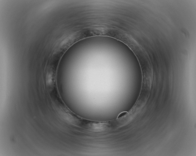 X0000115500134200911061335