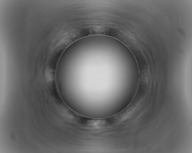X0000115500135200911061335
