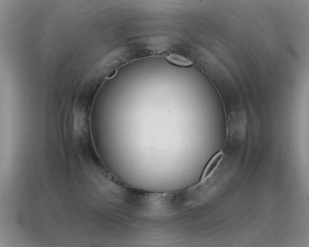 X0000115500136200911061335