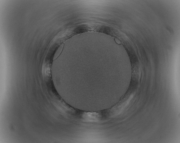 X0000115500137200911061335