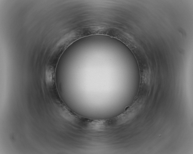 X0000115500138200911061335