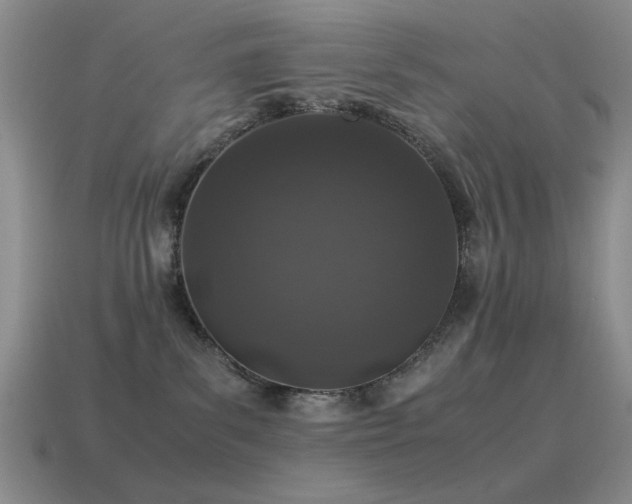 X0000115500139200911061335